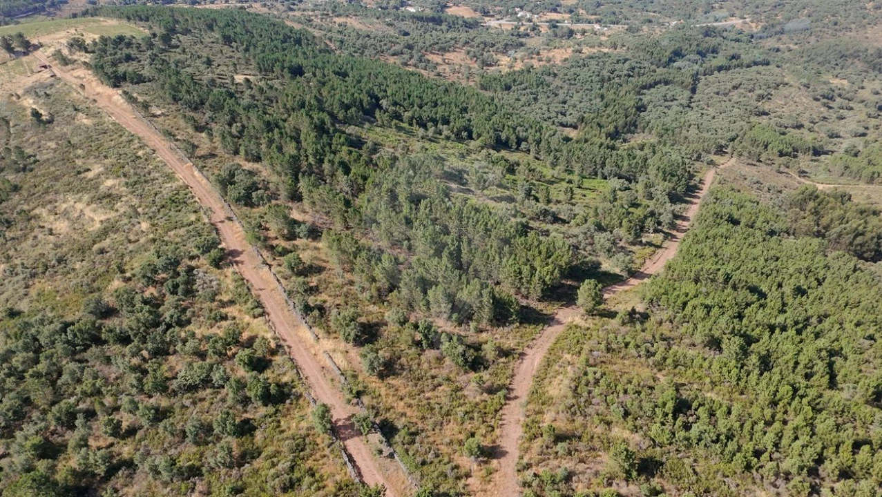 Terreno para Venda em Santa Maria de Marvão Foto 4