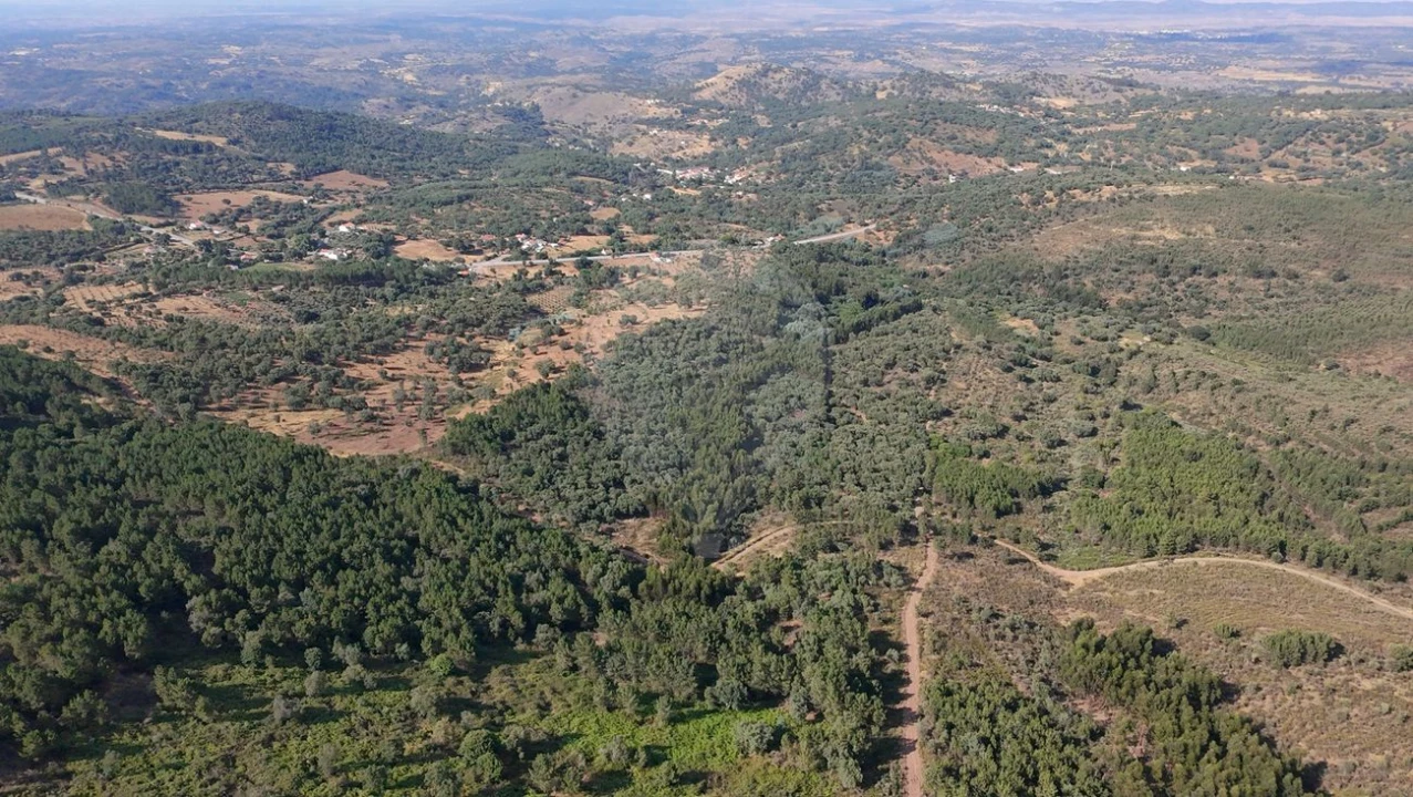 Terreno para Venda em Santa Maria de Marvão Foto 12