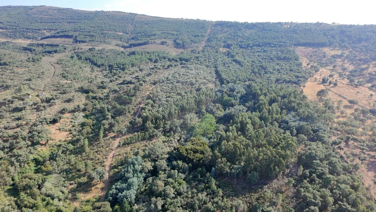 Terreno para Venda em Santa Maria de Marvão Foto 24