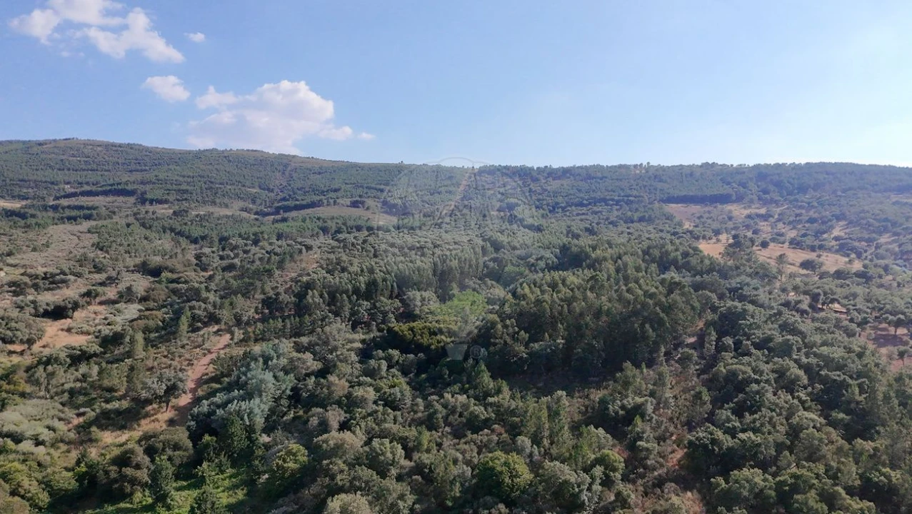 Terreno para Venda em Santa Maria de Marvão Foto 20
