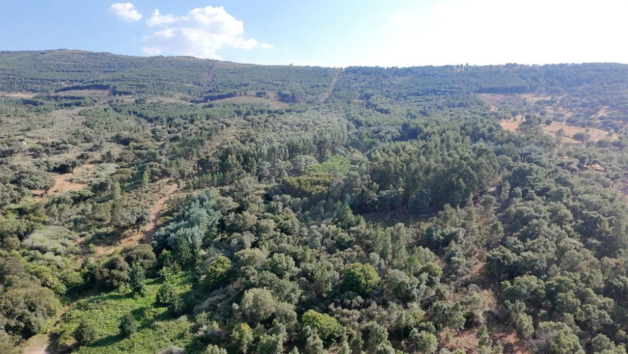 Terreno para Venda em Santa Maria de Marvão Foto 21