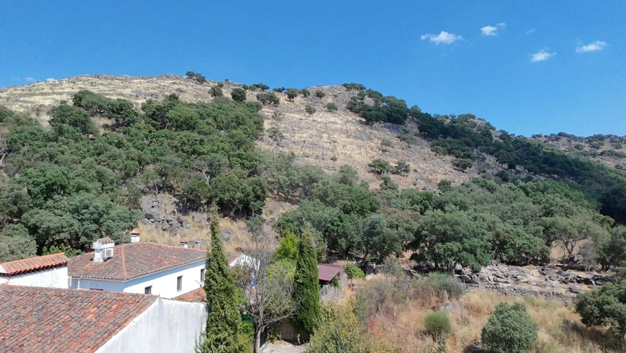 Terreno para Venda em Santa Maria de Marvão Foto 9