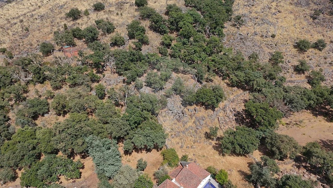 Terreno para Venda em Santa Maria de Marvão Foto 2