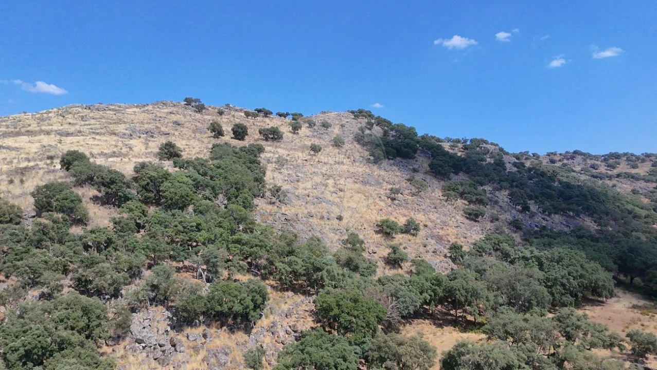 Terreno para Venda em Santa Maria de Marvão Foto 6