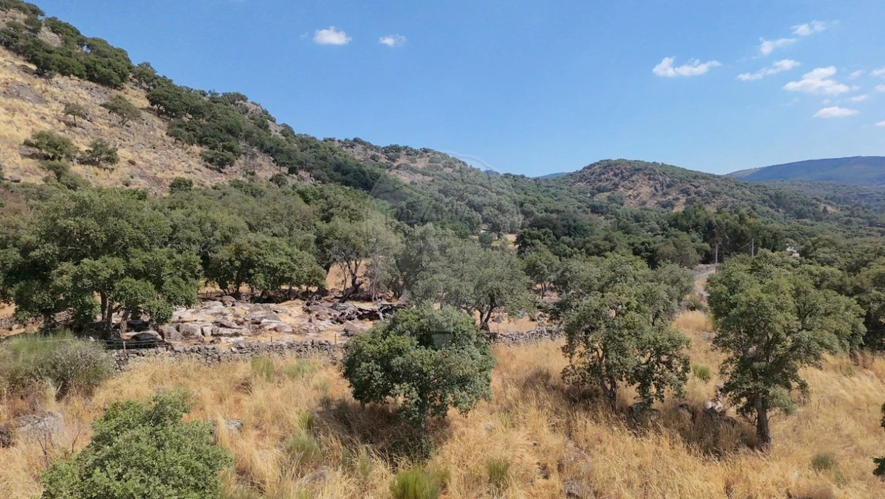 Terreno para Venda em Santa Maria de Marvão Foto 11
