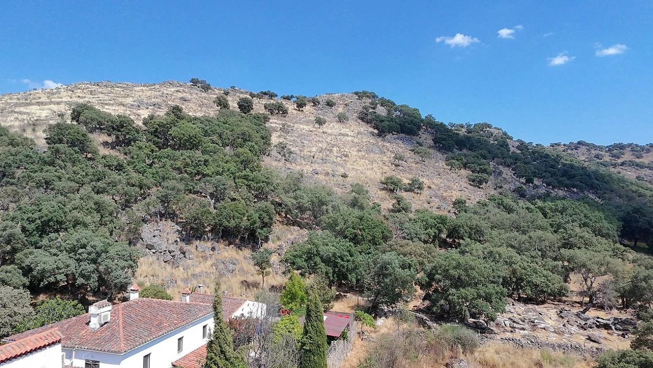 Terreno para Venda em Santa Maria de Marvão Foto 8