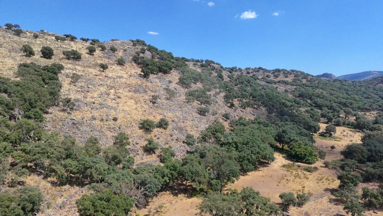 Terreno para Venda em Santa Maria de Marvão Foto 15