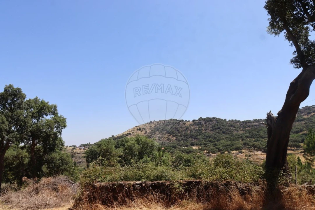 Terreno para Venda em Santa Maria de Marvão Foto 18