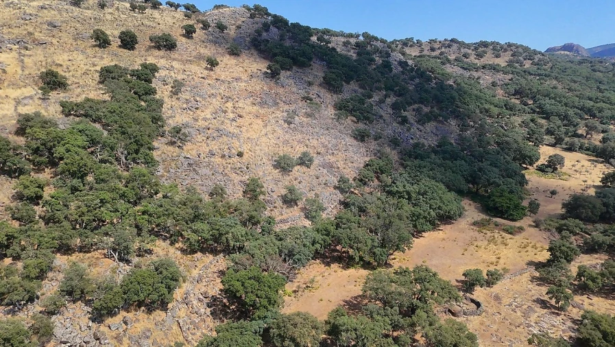 Terreno para Venda em Santa Maria de Marvão Foto 3