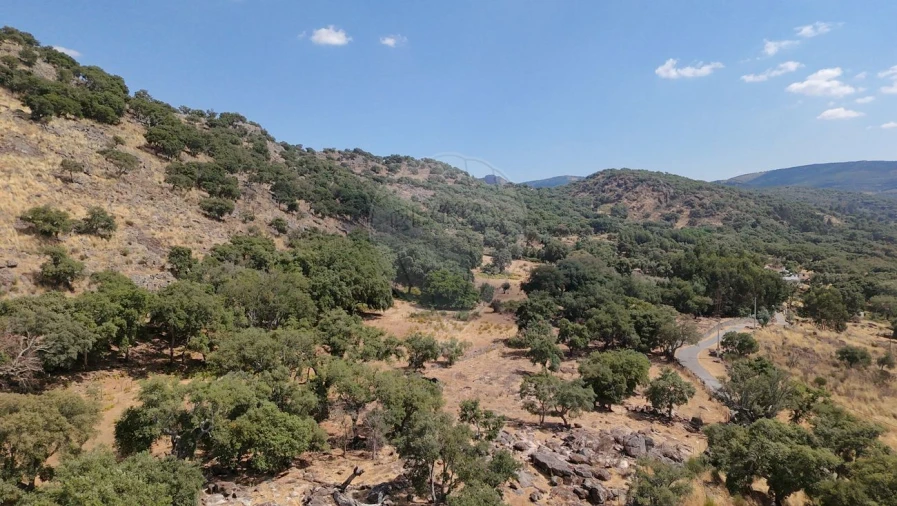 Terreno para Venda em Santa Maria de Marvão Foto 13