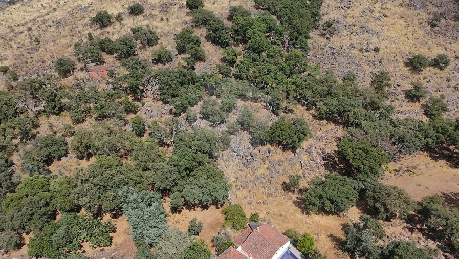Terreno para Venda em Santa Maria de Marvão Foto 2