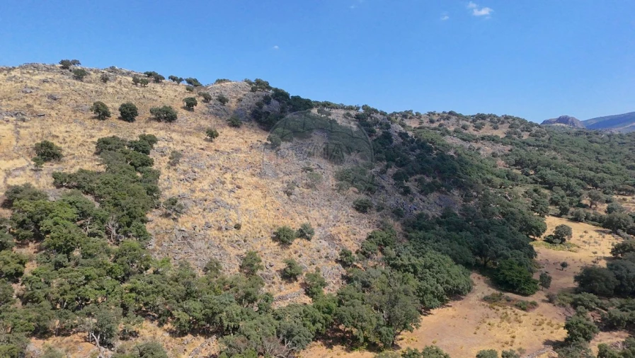 Terreno para Venda em Santa Maria de Marvão Foto 4