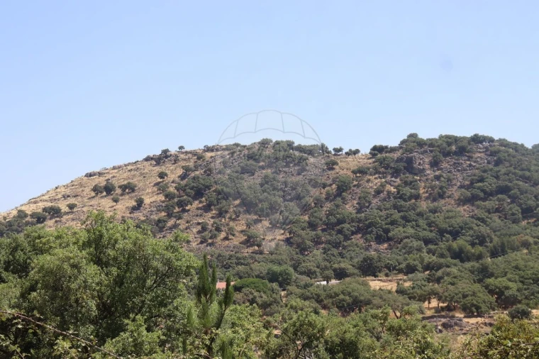 Terreno para Venda em Santa Maria de Marvão Foto 16