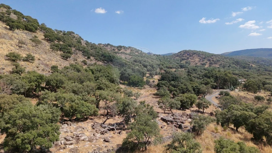 Terreno para Venda em Santa Maria de Marvão Foto 12