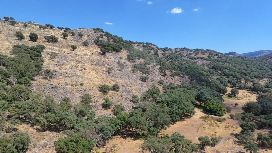 Terreno para Venda em Santa Maria de Marvão Foto 15
