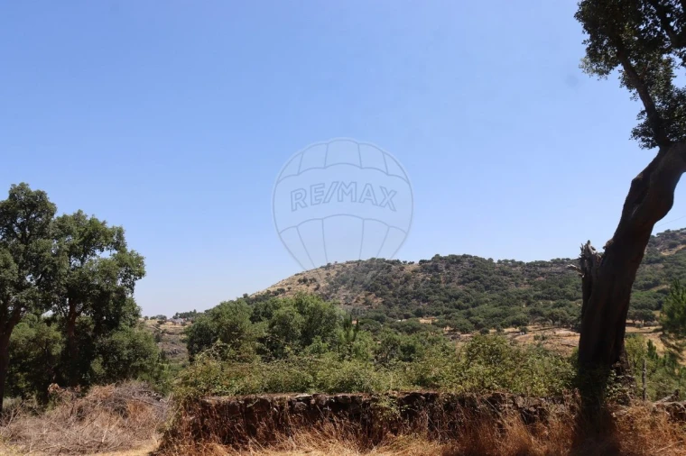 Terreno para Venda em Santa Maria de Marvão Foto 18