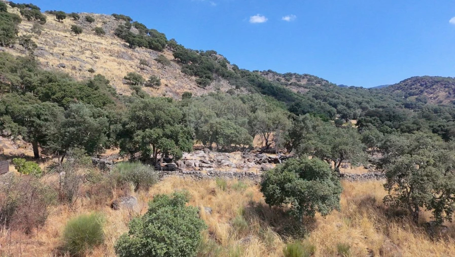 Terreno para Venda em Santa Maria de Marvão Foto 10