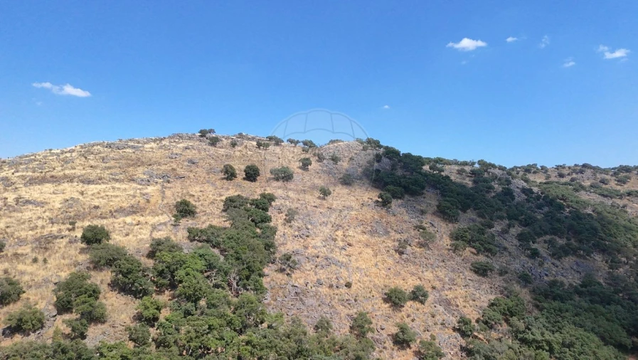 Terreno para Venda em Santa Maria de Marvão Foto 5