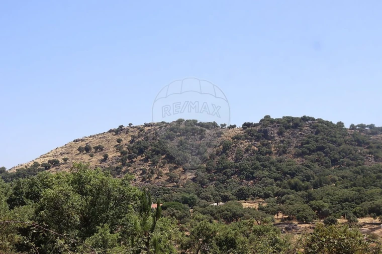Terreno para Venda em Santa Maria de Marvão Foto 17