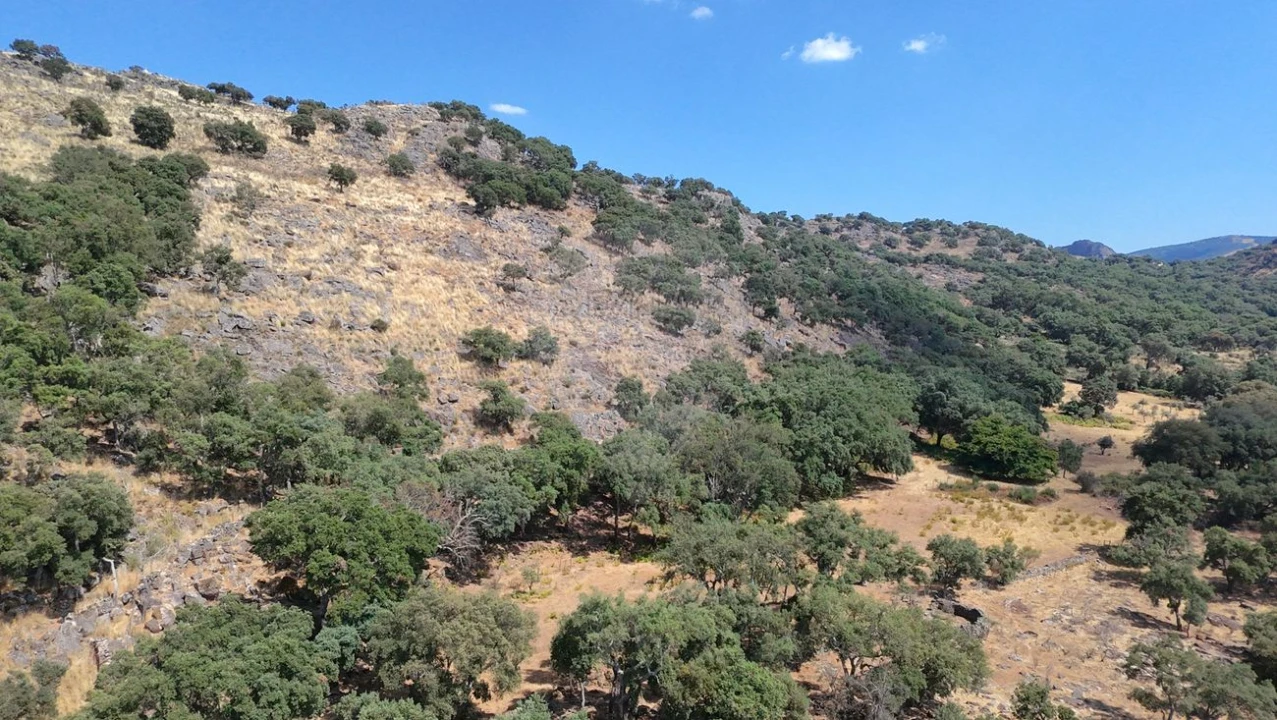 Terreno para Venda em Santa Maria de Marvão Foto 14