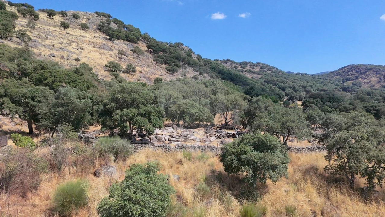 Terreno para Venda em Santa Maria de Marvão Foto 10