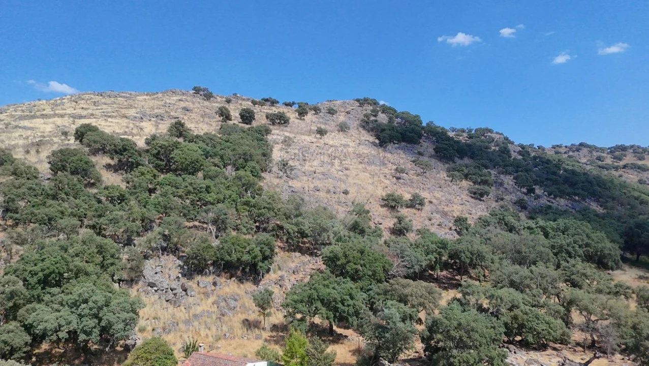 Terreno para Venda em Santa Maria de Marvão Foto 7