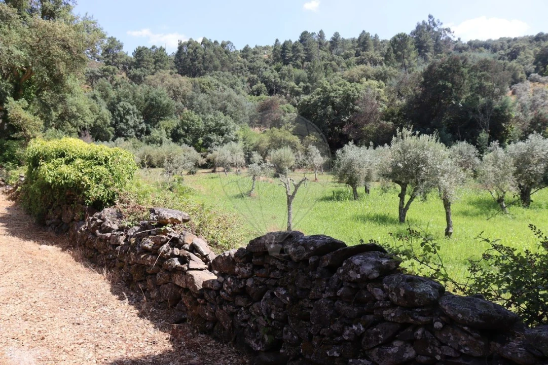 Terreno para Venda em Santa Maria de Marvão Foto 1