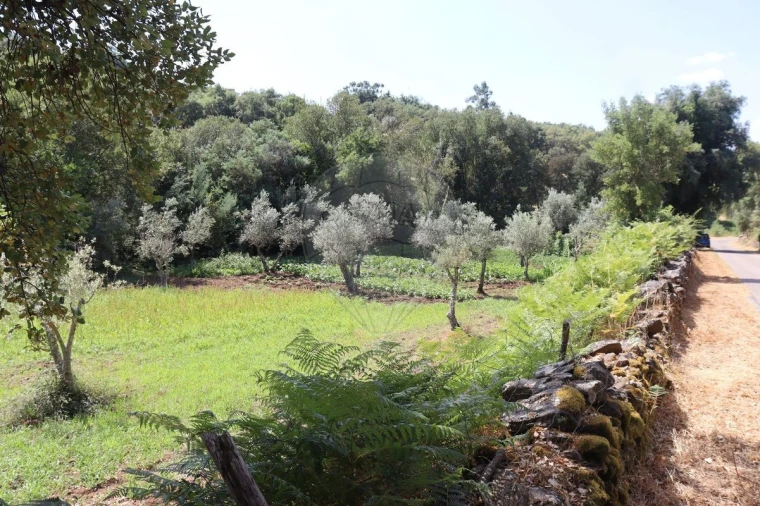 Terreno para Venda em Santa Maria de Marvão Foto 10