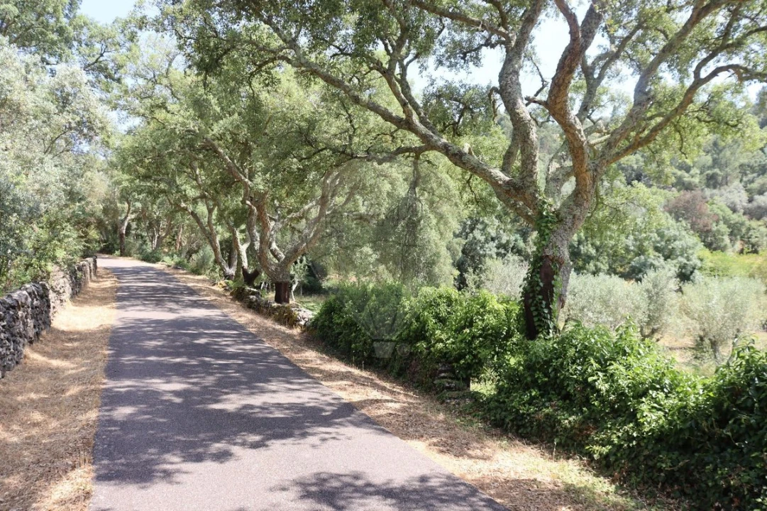 Terreno para Venda em Santa Maria de Marvão Foto 2