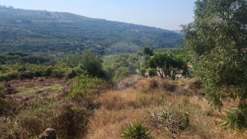 Terreno para Venda em São João das Lampas e Terrugem