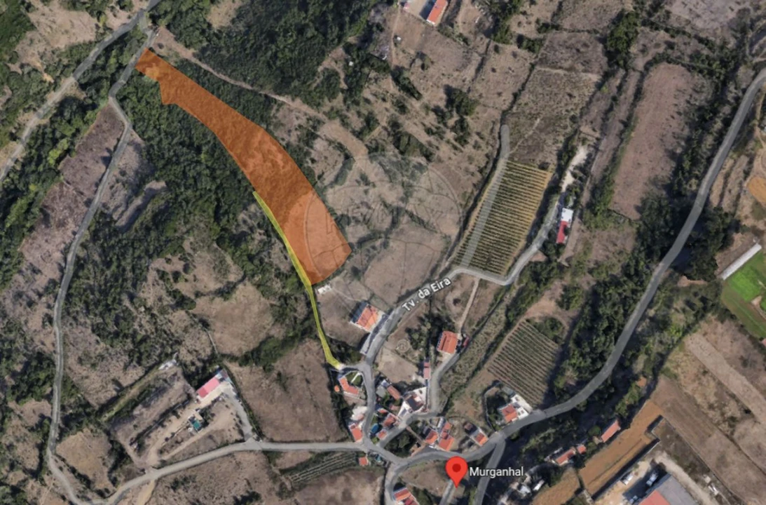 Terreno para Venda em São João das Lampas e Terrugem Foto 5