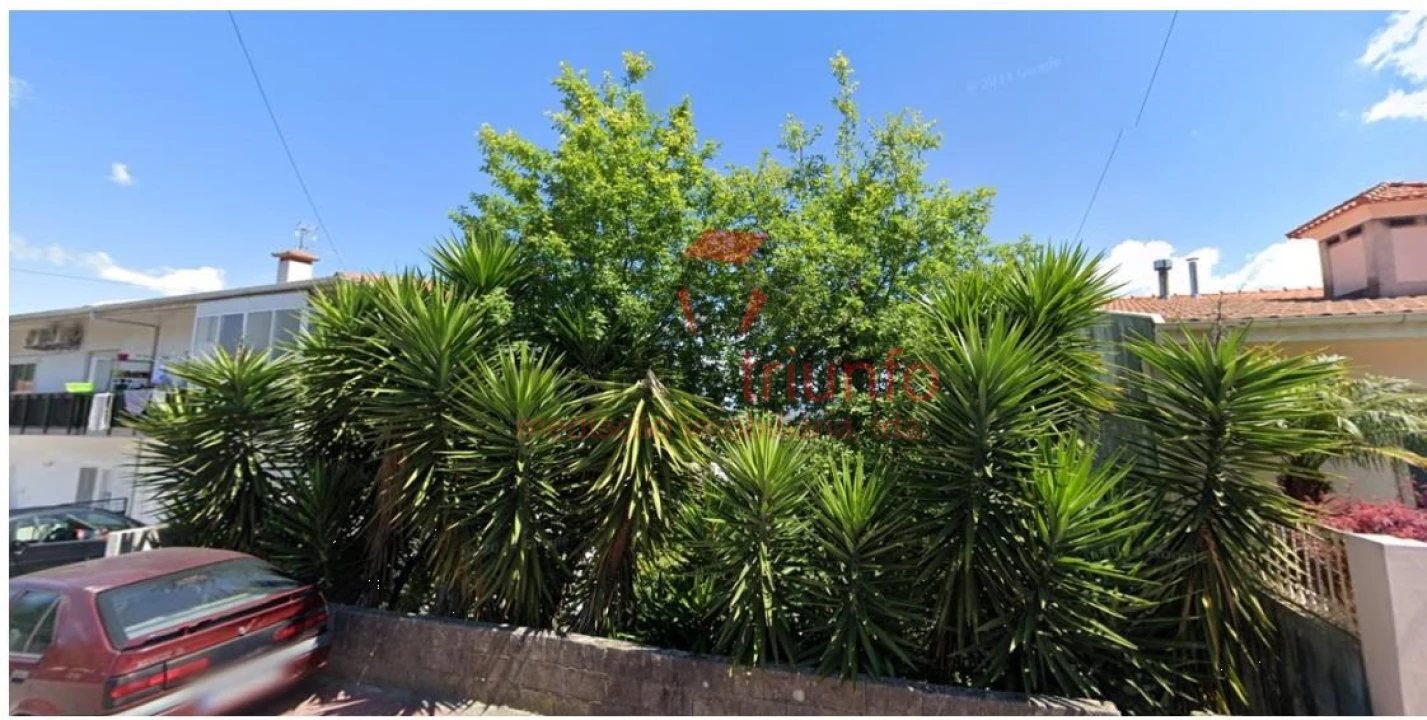 Terreno para Venda em Oliveira (Santa Maria) Foto 1