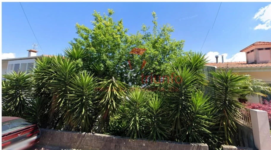 Terreno para Venda em Oliveira (Santa Maria) Foto 3