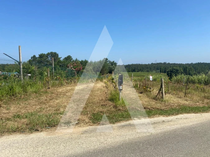 Terreno para Venda em São Lourenço do Bairro Foto 1