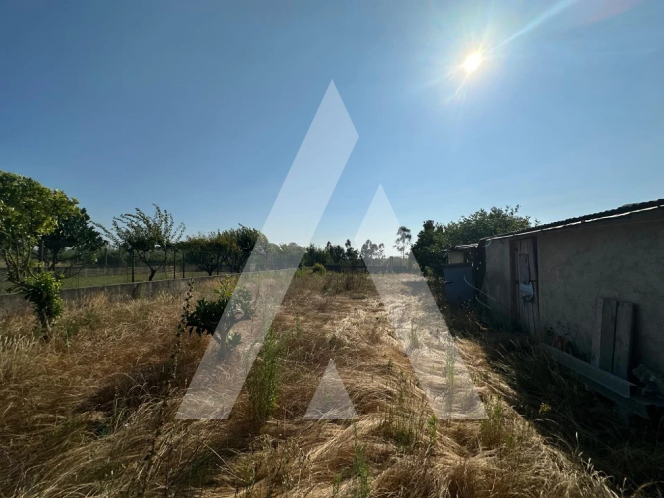 Moradia T2 para Venda em Sangalhos Foto 22