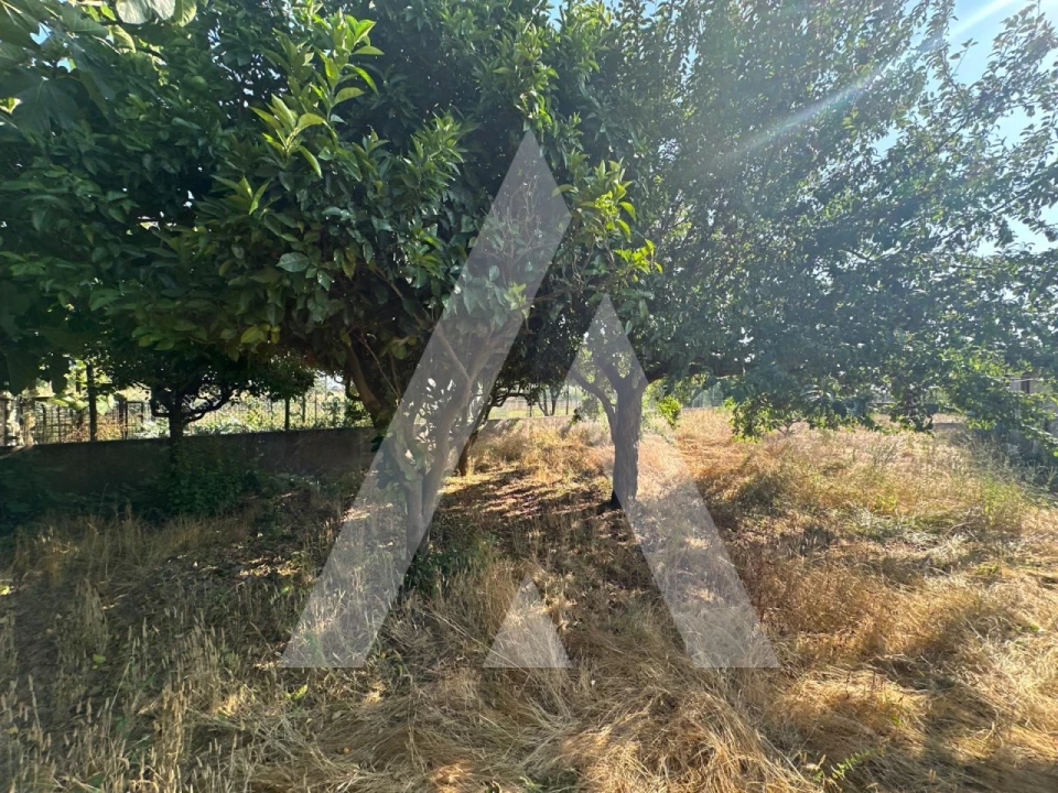 Moradia T2 para Venda em Sangalhos Foto 28