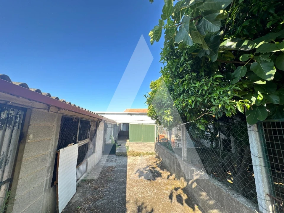 Moradia T2 para Venda em Sangalhos Foto 37