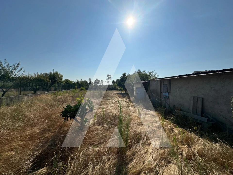 Moradia T2 para Venda em Sangalhos Foto 42