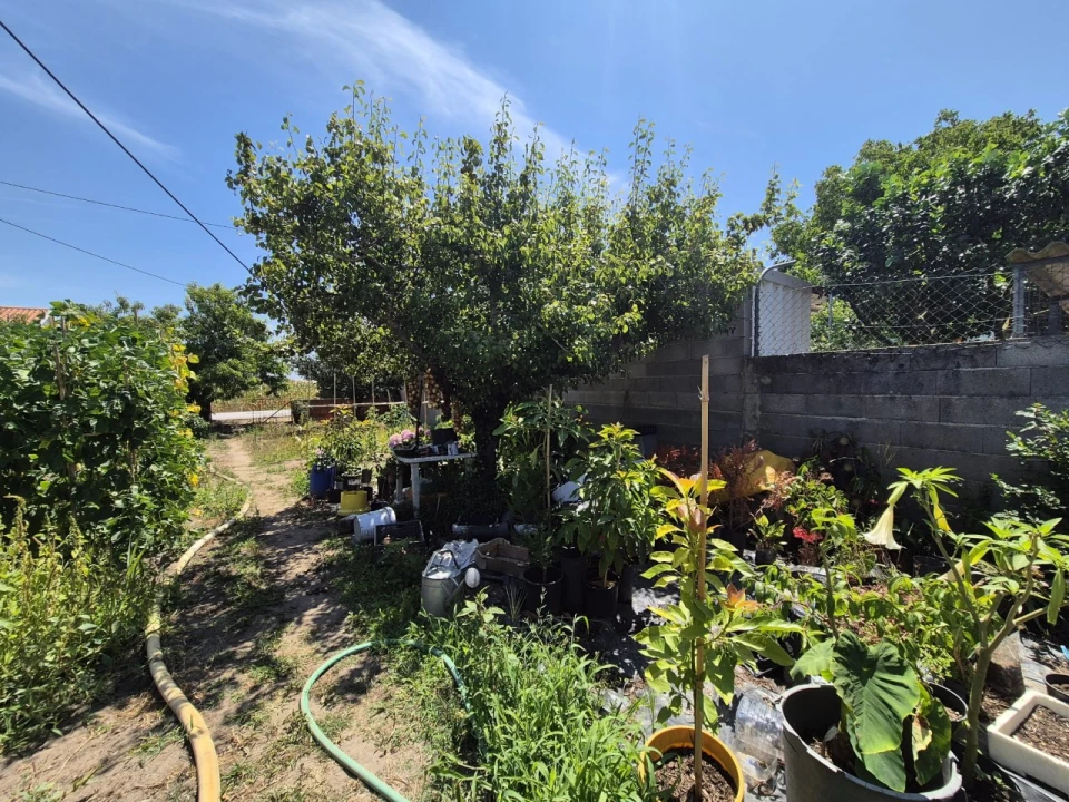 Terreno para Venda em Paião Foto 6