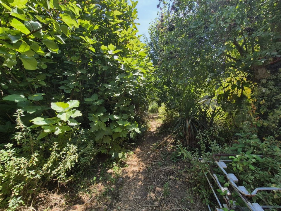 Terreno para Venda em Paião Foto 8