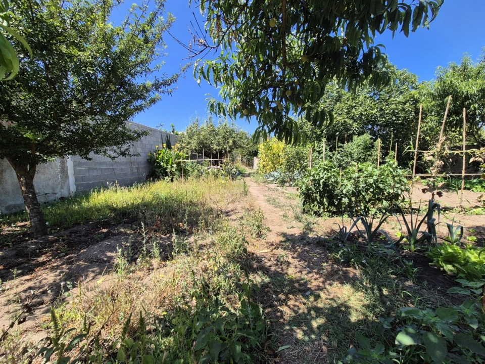 Terreno para Venda em Paião Foto 9