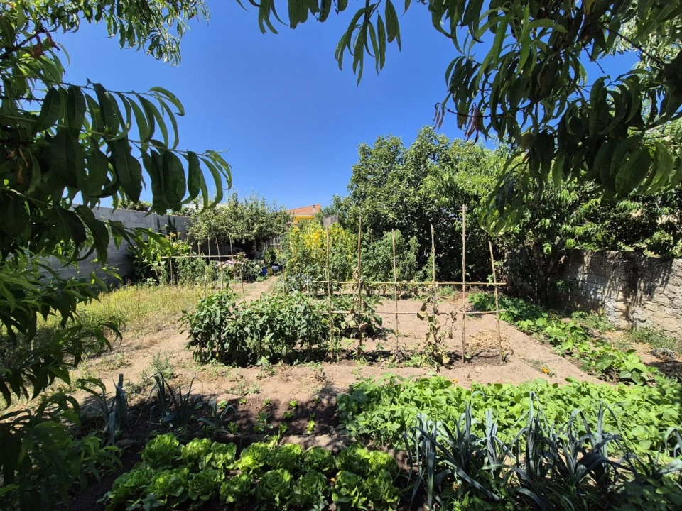 Terreno para Venda em Paião Foto 11