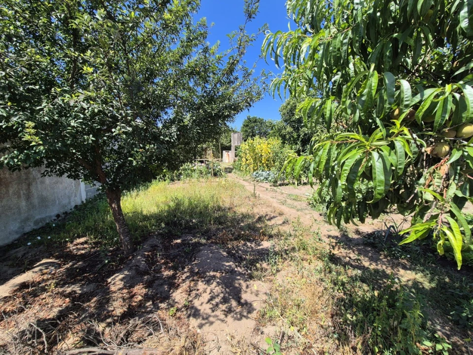 Terreno para Venda em Paião Foto 13