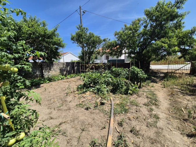 Terreno para Venda em Paião Foto 1