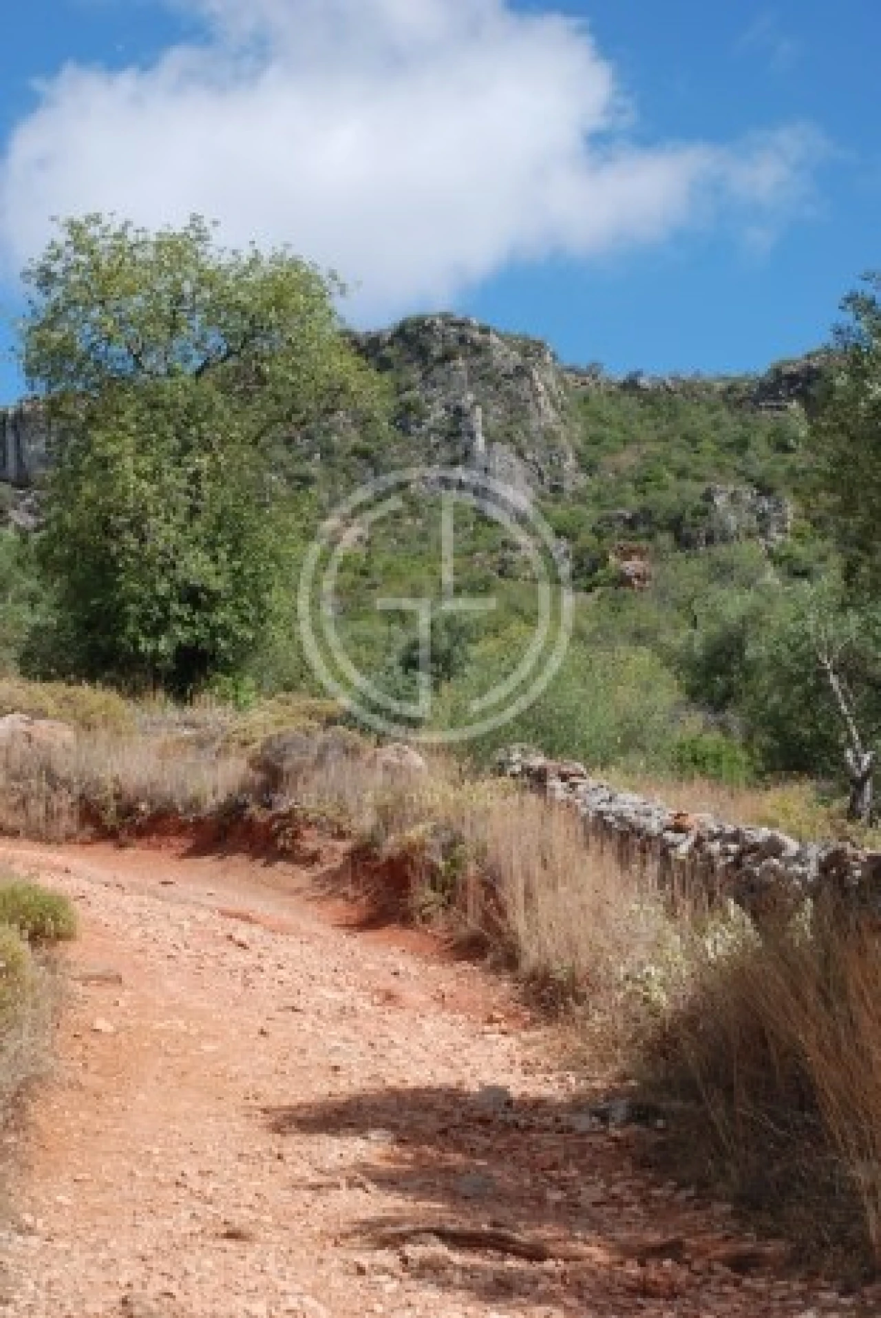 Moradia T3 para Venda em Loule (São Clemente) Foto 21