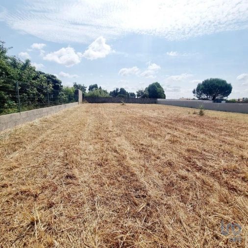 Terreno para Venda em Monte Real e Carvide Foto 6