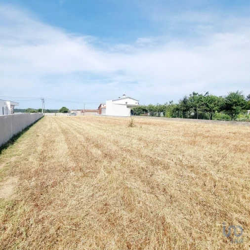 Terreno para Venda em Monte Real e Carvide Foto 7