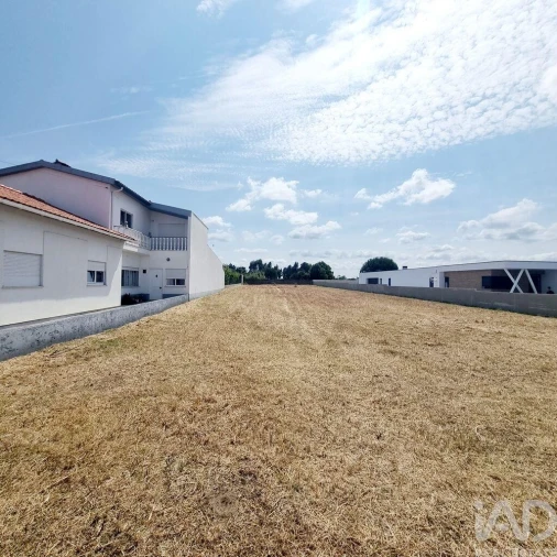Terreno para Venda em Monte Real e Carvide Foto 18