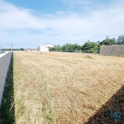 Terreno para Venda em Monte Real e Carvide Foto 2