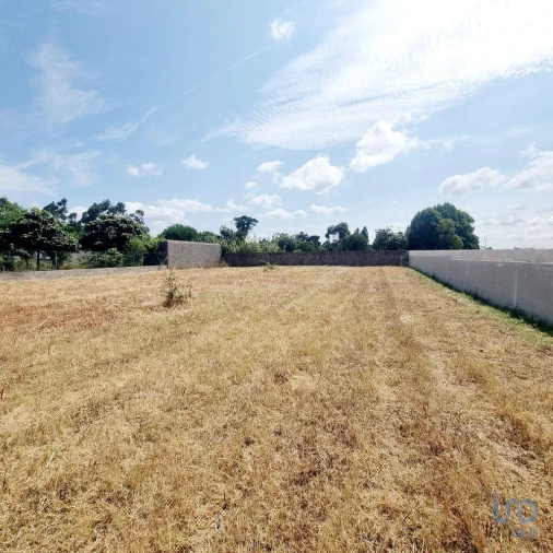 Terreno para Venda em Monte Real e Carvide Foto 9
